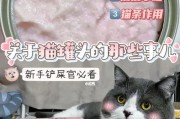 如何正确选择猫罐头？（宠物健康食品的选择技巧）