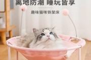 小猫夏天睡什么窝？（选择合适的窝让小猫度过舒适的夏天）