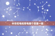 中华花龟的饲养指南（从环境搭建到喂食，全面了解饲养中华花龟的方法）