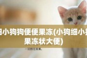 出生十天的狗狗的便便习惯（了解幼犬便便习惯的重要性）