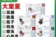 治疗泰迪狗狗耳螨的有效药物选择（解决泰迪狗狗耳螨困扰的药物及用法指南）