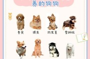 古代为何不养狗？（探寻古代文明中不养狗的原因）