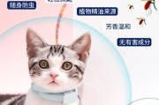 宠物跳蚤清除全攻略（从前言到实操，教你彻底摆脱宠物跳蚤）