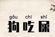 揭秘狗狗突然吃屎的原因（为什么狗狗会突然吃屎？探究背后的原因）
