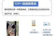 揭秘猫咪肠胃炎的成因与预防方法（探究猫咪肠胃炎的主要症状与治疗措施）