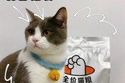 两个月大的猫猫需要吃什么？（为你的小猫提供健康的饮食，关注每一口的营养摄入）
