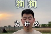 狗为何会吃草？（揭秘狗吃草的原因和影响）
