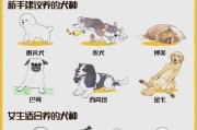 适合上班族养的狗狗品种（价格一览，看看你喜欢哪只呢？）