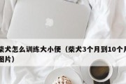 如何训练腊肠狗排便？（建立正确的排便习惯，提高生活质量）
