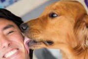 狗狗总是要求主人抱？这是为什么！（探寻狗狗要求抱抱的原因与应对方法，提升与狗狗的交流互动）