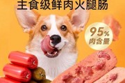 宠物美食之泰迪鸡蛋香肠饭（如何为你的爱犬制作美味可口的鸡蛋香肠饭）