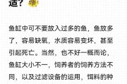 非热带鱼饲养指南（选择适合家庭饲养的易养鱼种，打造清新水族馆）