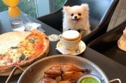50多天的小狗应该吃什么？（营养均衡的饮食对小狗的健康成长至关重要！）