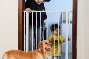 如何训练狗狗在围栏内排便？（以宠物为主，让你的爱犬成为有素质的萌宠）