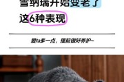 雪纳瑞成长日记（探究雪纳瑞狗狗的行动发展和教育需求）