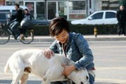如何帮助流浪猫咪引产（教你正确处理流浪猫咪引产情况，帮助它们顺利分娩）