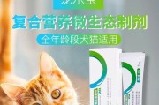 猫便秘伴有发烧应如何处理？（选择合适的药物治疗关键）