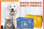 金仓鼠的饲养方法（打造健康快乐的宠物生活）