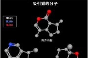 揭秘猫咪为何如此喜欢薄荷味（解析猫咪对薄荷味的强烈好奇心和兴奋感）