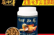 花罗汉的饲养方法详解（打造宠物爱好者最佳选择，花罗汉饲养技巧全解析！）