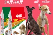 成年灵缇最适合的狗粮推荐（为你的灵缇选择最好的营养来源）