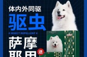 萨摩耶驱跳蚤必知！（春季养护指南，宠物更健康）