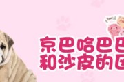 如何在家中训练狗狗上厕所（通过室内训练建立狗狗的厕所习惯）