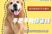绝育后狗狗的饮食需求（狗狗绝育后应注意的饮食问题）