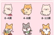 幼犬的喂养攻略（全面指南助你养育健康成长的幼犬）