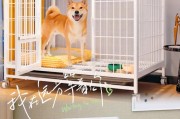 为什么小狗需要关在笼子里？（探讨小狗关笼子的原因和好处）