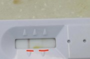 狗狗的细小疫苗（详解狗狗细小疫苗的重要性与应用方法）