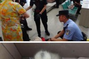 出门旅行，狗狗也能陪伴，坐火车安心旅行（详解宠物坐火车须知，为你的爱犬提供最好的旅行体验）
