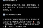 揭秘猫咪怀孕的秘密（猫咪怀孕周期及判断方法详解）