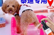 如何训练狗狗定点上厕所（一步步教你让宠物养成好习惯）