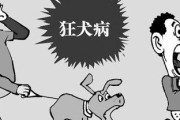 狗狗狂犬病（掌握正确知识，让宠物远离狂犬病）
