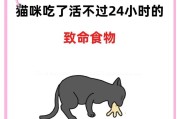猫咪饮食禁忌（了解猫咪食谱，守护它们的健康生活）