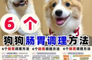 狗狗的日常饮水量和夏季喝冰水的注意事项（了解狗狗的饮水需求，做到科学喂养）