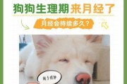 《狗狗生第一只需要多久？》（了解狗狗初次生产的时间和过程）