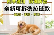 为什么狗狗不喜欢睡狗窝？（探寻狗狗不喜欢睡狗窝的原因及解决方法）