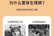 泰迪的月经周期及相关注意事项（了解泰迪的月经周期，为宠物健康护航）