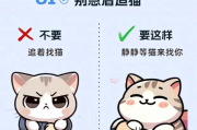 你家猫黏你吗？怎么才能让猫咪爱上你，黏着你呢？