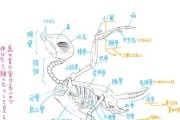 白蓝特短鲷的养殖技巧（学会如何照顾这种可爱的宠物鱼）