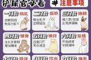 如何科学饲养反游猫？（让它们健康快乐生活的秘诀）