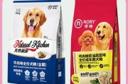 泰迪可以吃的食物大揭秘！（除了狗粮，泰迪还可以享用这些美味佳肴。）