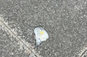 狗狗吃了驱虫药腹泻怎么办（应对狗狗吃了驱虫药导致腹泻的方法与注意事项）
