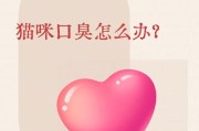 猫的口臭之谜（探究猫咪口臭的原因及解决方法）