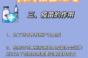 小狗何时打疫苗——健康保障的关键（宝贝的防疫计划，从出生开始）