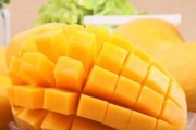 小泰迪狗可以吃芒果吗？（探究小泰迪狗是否适宜食用芒果）