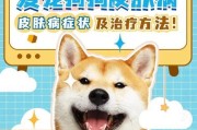 小狗为什么会发湿珍？（探究小狗身体特征及环境因素对湿珍产生的影响）