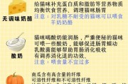 科学喂养，猫咪健康长肉（以什么为主食，猫咪才能获得最佳身体状况？）